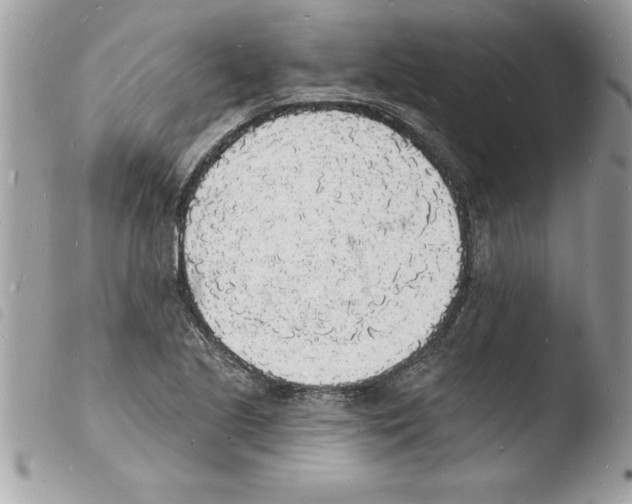 X0000103971221200810171917