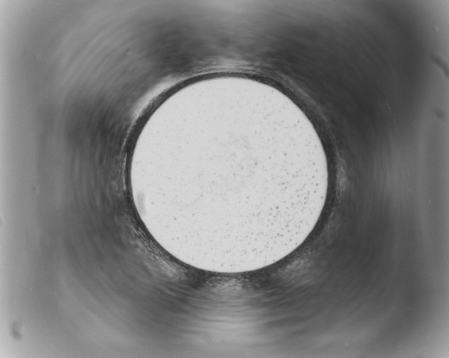 X0000103971222200810171917