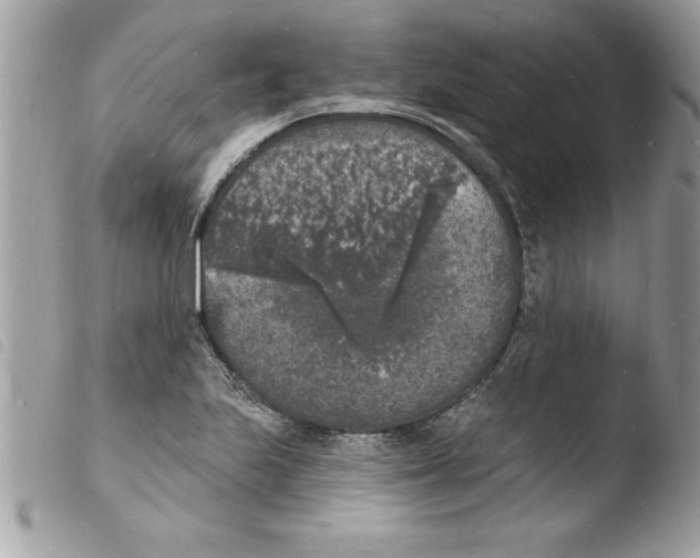 X0000103971223200810171917