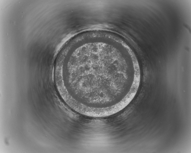 X0000103971224200810171917