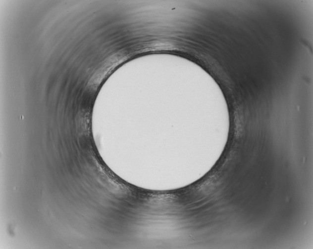 X0000103971225200810171917