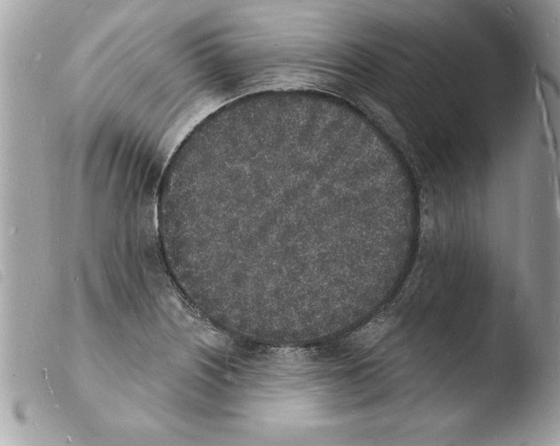 X0000103971226200810171917