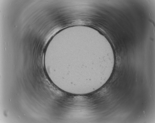 X0000103971227200810171917