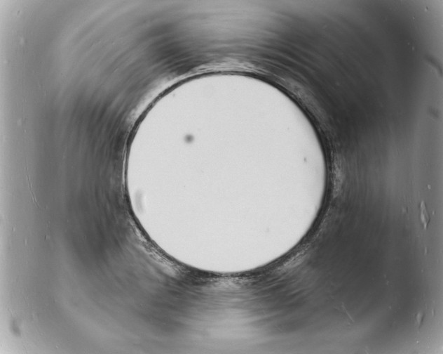 X0000103971228200810171917