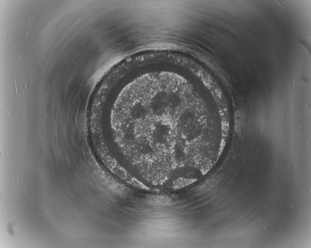 X0000103971229200810171917