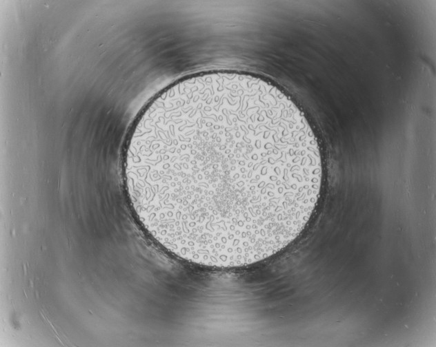 X0000103971230200810171917