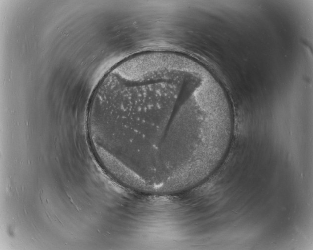 X0000103971231200810171917