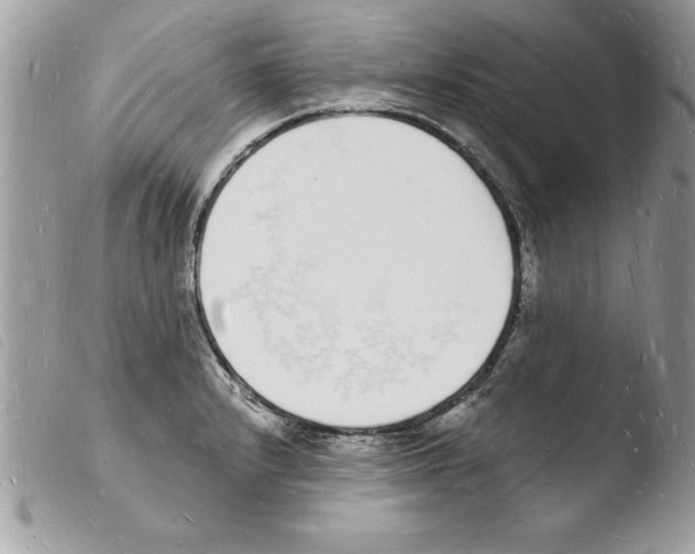 X0000103971232200810171917