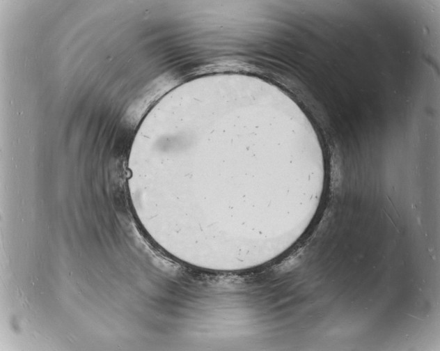 X0000103971233200810171917