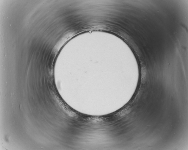 X0000103971234200810171917