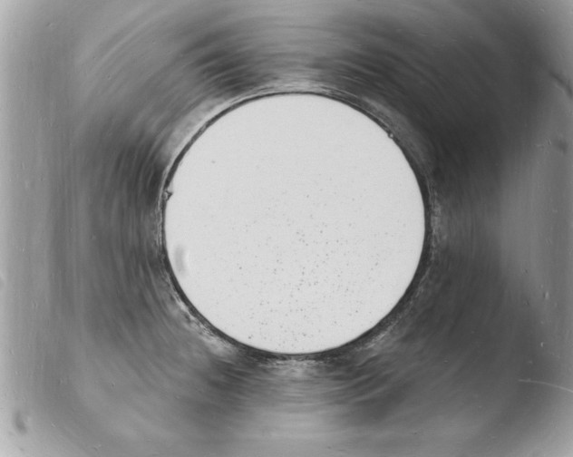 X0000103971236200810171917