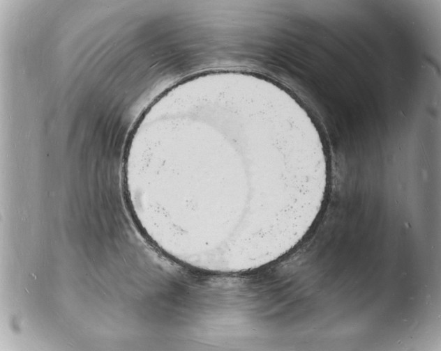 X0000103971237200810171917