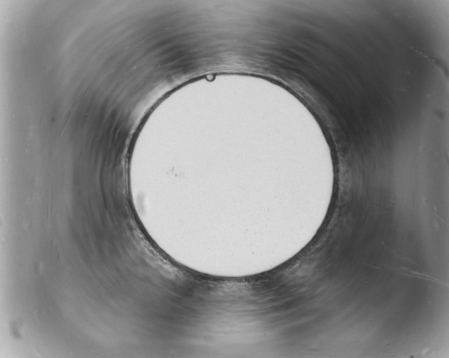 X0000103971238200810171917