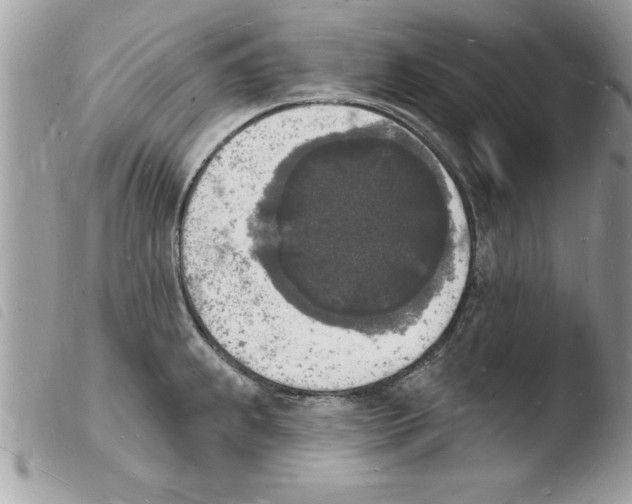 X0000103971239200810171917