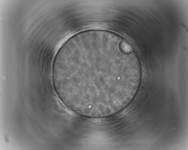 X0000103971240200810171917