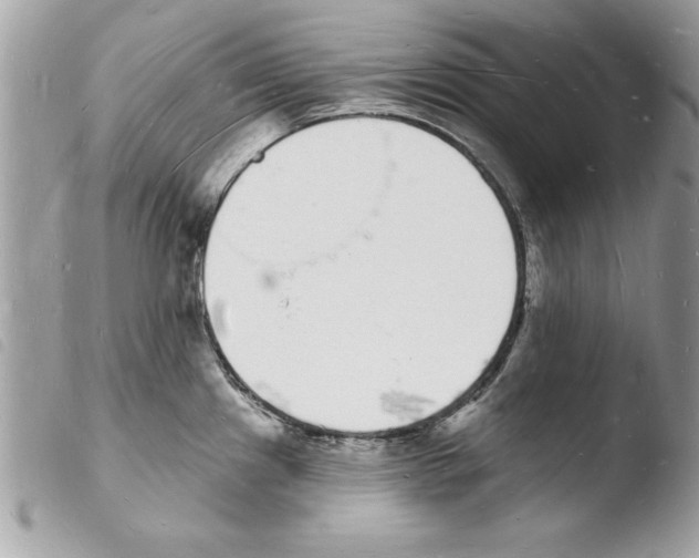 X0000103971241200810171917