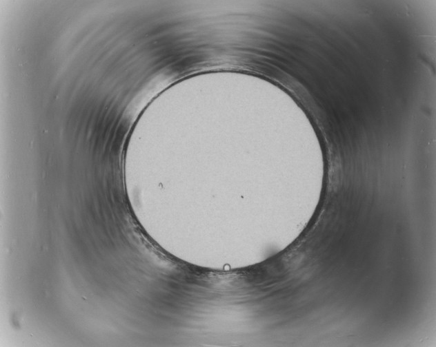 X0000103971242200810171917