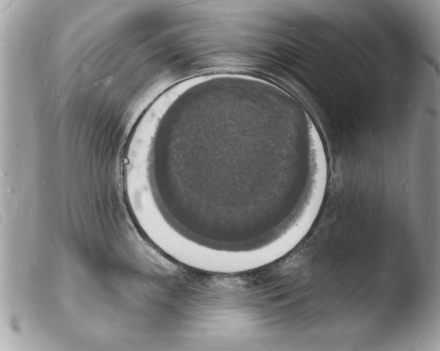 X0000103971243200810171917