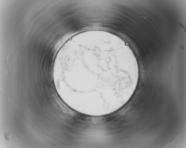 X0000103971244200810171917