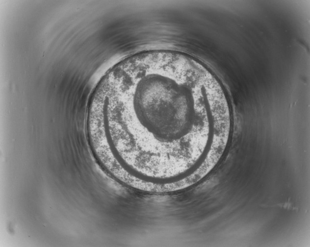 X0000103971245200810171917