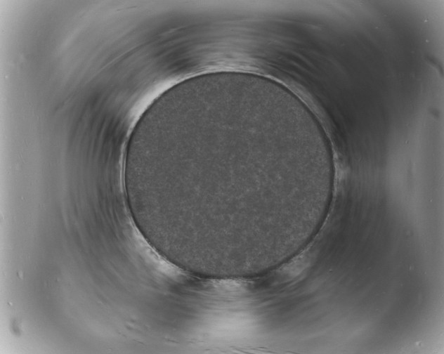 X0000103971246200810171917