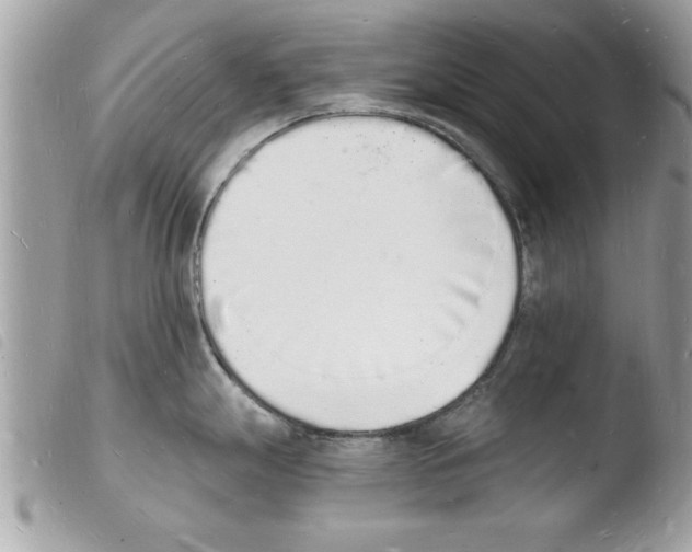 X0000103971247200810171917