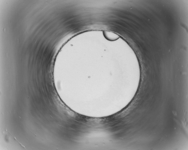 X0000103971248200810171917