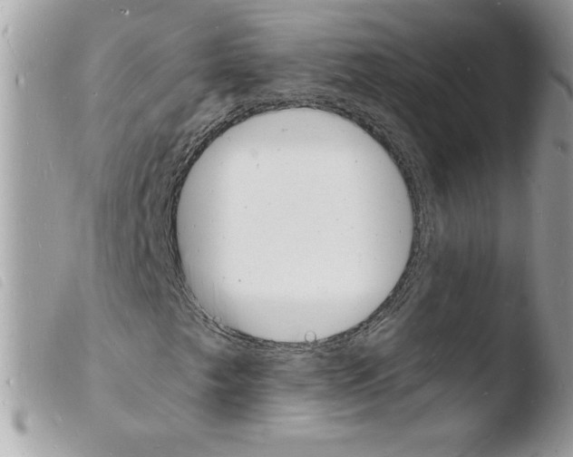 X0000103971249200810171916