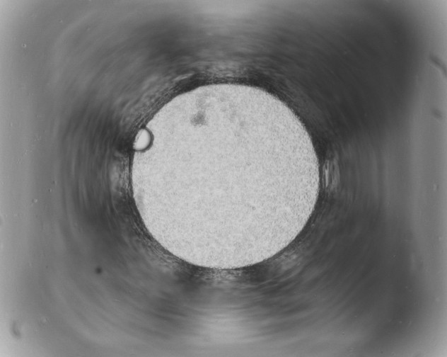 X0000103971251200810171916