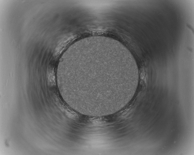 X0000103971252200810171916