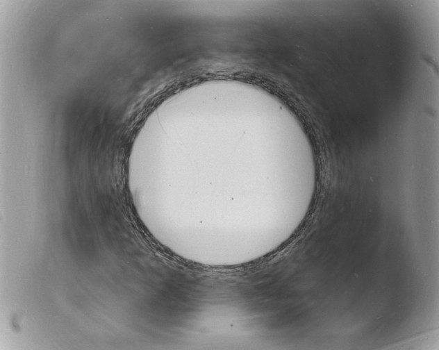 X0000103971253200810171916