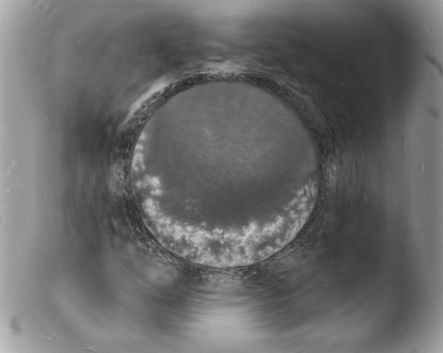 X0000103971254200810171916