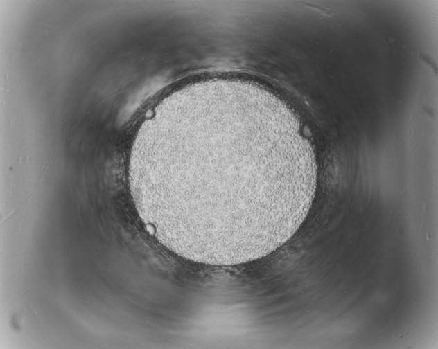 X0000103971255200810171916