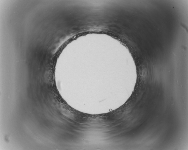 X0000103971256200810171916