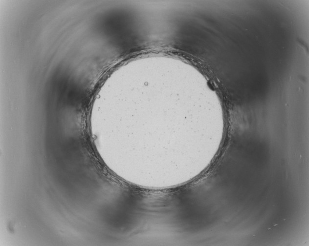 X0000103971257200810171916