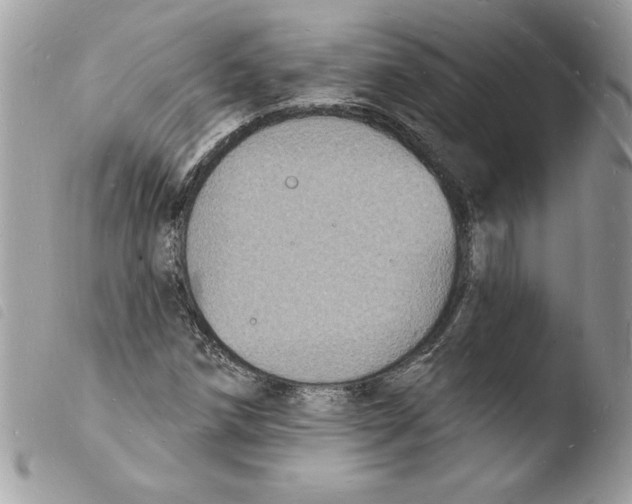 X0000103971258200810171916