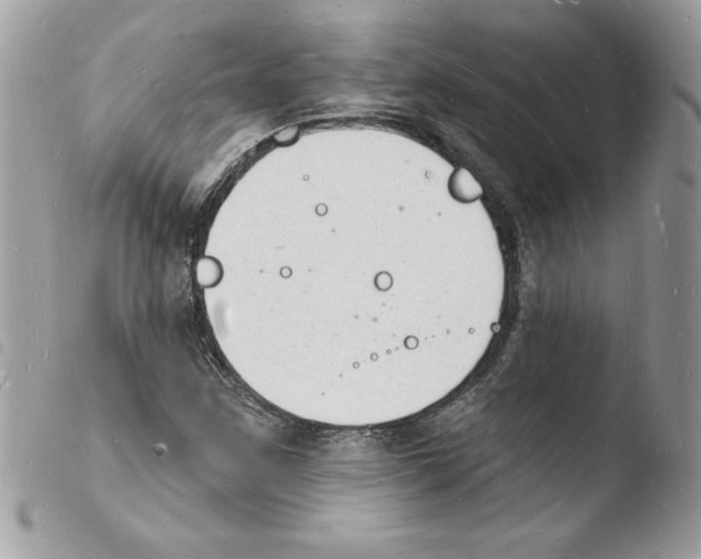 X0000103971259200810171916