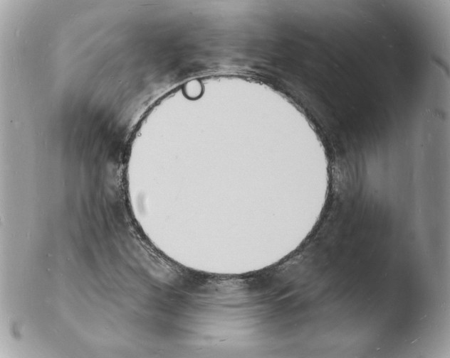 X0000103971260200810171916