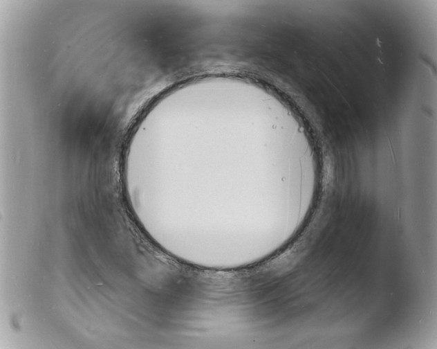 X0000103971261200810171916