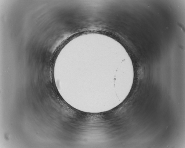 X0000103971262200810171916