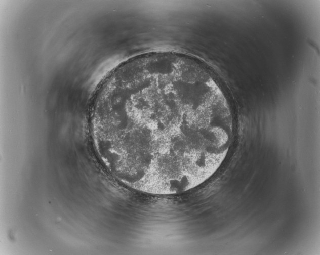 X0000103971263200810171916