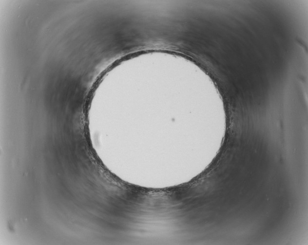 X0000103971264200810171916