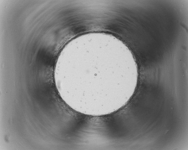 X0000103971265200810171916