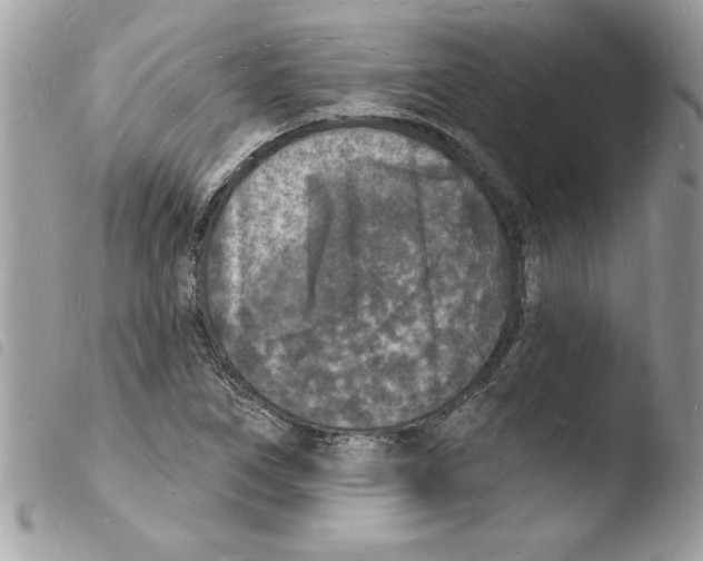 X0000103971266200810171916