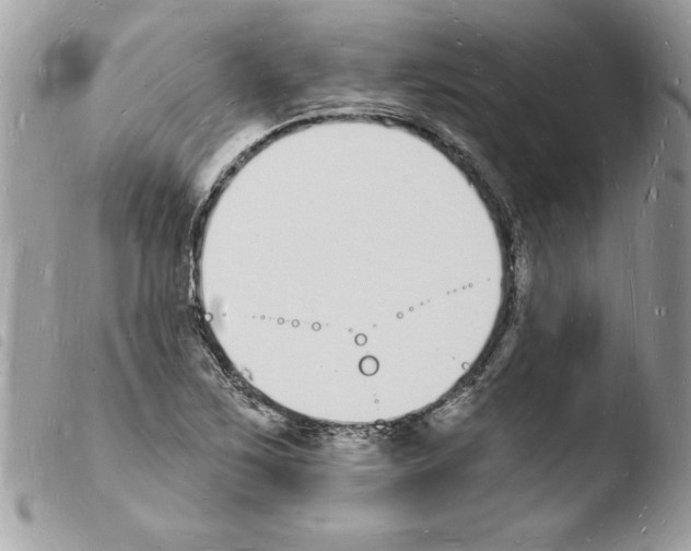 X0000103971267200810171916