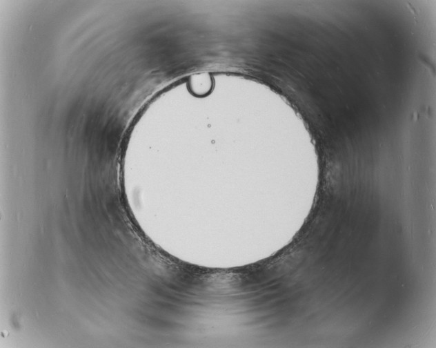 X0000103971268200810171916