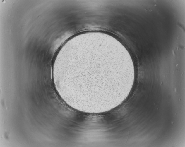 X0000103971269200810171916