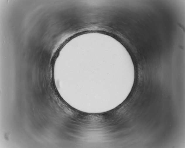 X0000103971270200810171916