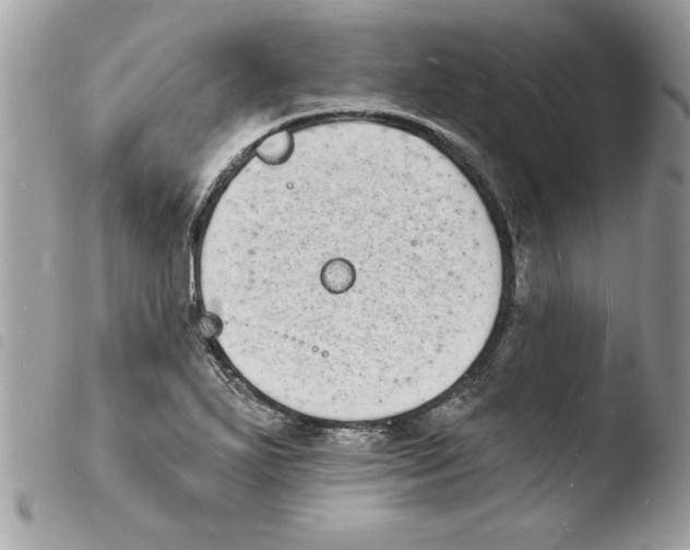 X0000103971271200810171916