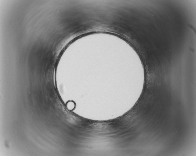 X0000103971272200810171916